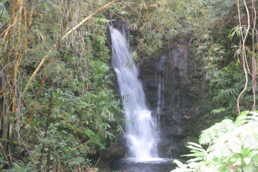 ../image/akaka falls 1.jpg